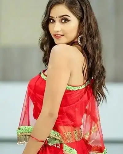 Call Girls Service Idar